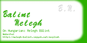 balint melegh business card